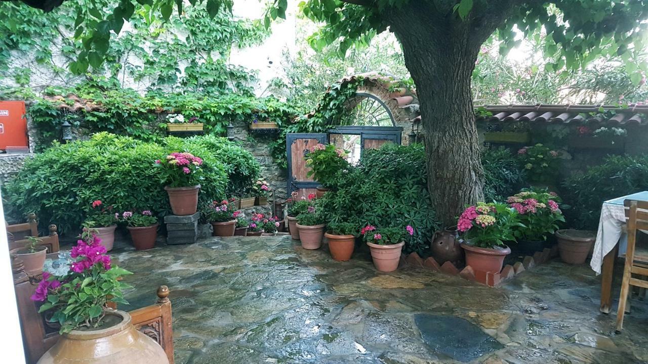 Nilya Guest house 3*